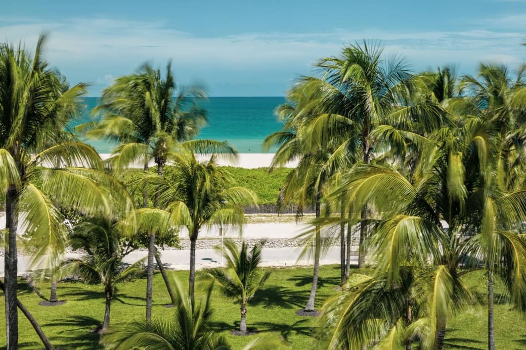 Palm trees leaning over white sand with turquoise water beyond