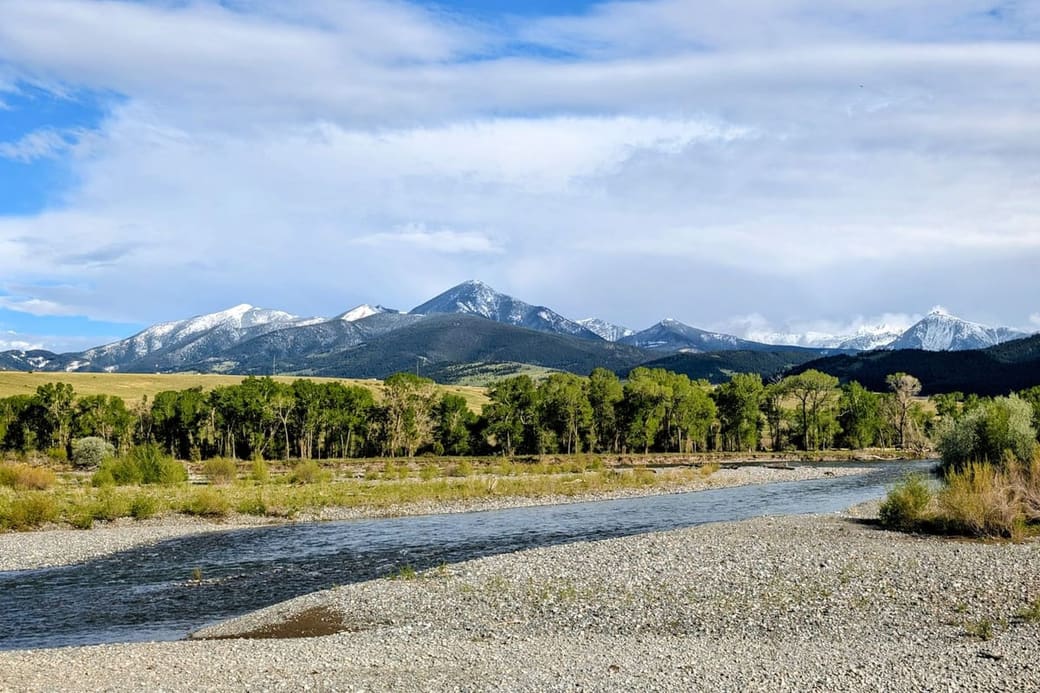 A broad gravel-bedded river below a line of trees and snow-streaked peaks