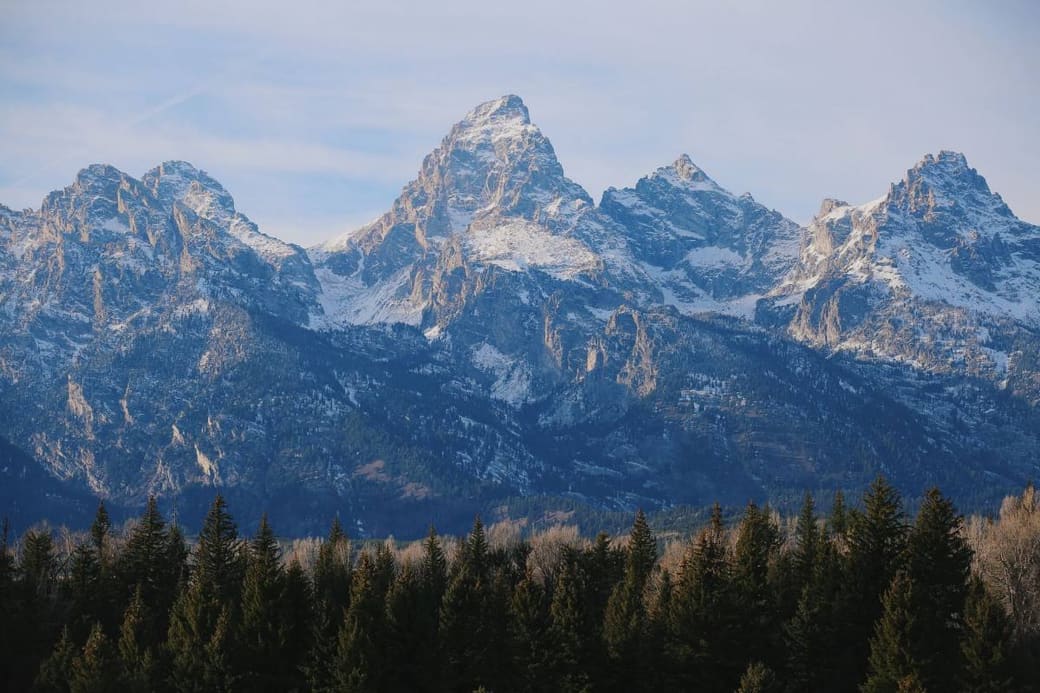 A row of sharp snow-covered peaks rising straight out of dark forest